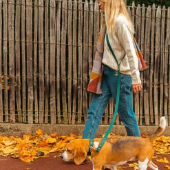 Pop Dog - Laisse Bandoulière Elégant Vert Pour Chien - XS/S -Magasin De Fournitures Pour Chiens De Compagnie 69001 1