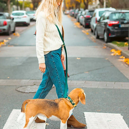 Pop Dog - Laisse Bandoulière Elégant Vert Pour Chien - M/L 4 Pop Dog - Laisse Bandoulière Elégant Vert Pour Chien - M/L – Image 2