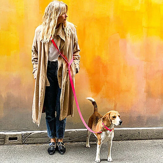 Pop Dog - Laisse Bandoulière Glouton Rose Pour Chien - M/L 4 Pop Dog - Laisse Bandoulière Glouton Rose Pour Chien - M/L – Image 2