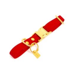 Pop Dog - Collier Diablotin Rouge Pour Chien - M