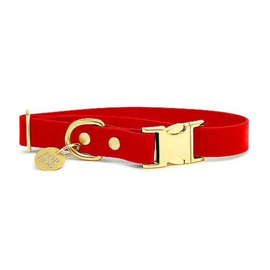Pop Dog - Collier Diablotin Rouge Pour Chien - S 4 Pop Dog - Collier Diablotin Rouge Pour Chien - S – Image 2