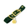 Pop Dog - Collier à Œillet Elégant Vert Pour Chien - L -Magasin De Fournitures Pour Chiens De Compagnie 72531