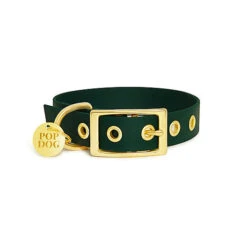 Pop Dog - Collier à Œillet Elégant Vert Pour Chien - L -Magasin De Fournitures Pour Chiens De Compagnie 72532