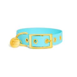 Pop Dog - Collier à Œillet Dragueur Bleu Pour Chien - M -Magasin De Fournitures Pour Chiens De Compagnie 72549