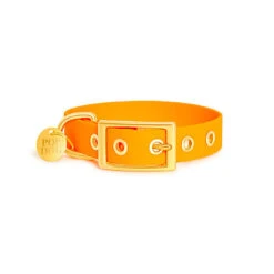 Pop Dog - Collier à Œillet Pitchoune Orange Pour Chien - S 6 Pop Dog - Collier à Œillet Pitchoune Orange Pour Chien - S -Magasin De Fournitures Pour Chiens De Compagnie 72588