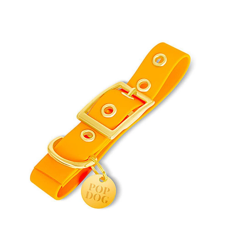 Pop Dog - Collier à Œillet Pitchoune Orange Pour Chien - S 3 Pop Dog - Collier à Œillet Pitchoune Orange Pour Chien - S