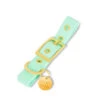 Pop Dog - Collier à Œillet Swimmy Vert Pour Chien - XS -Magasin De Fournitures Pour Chiens De Compagnie 72599