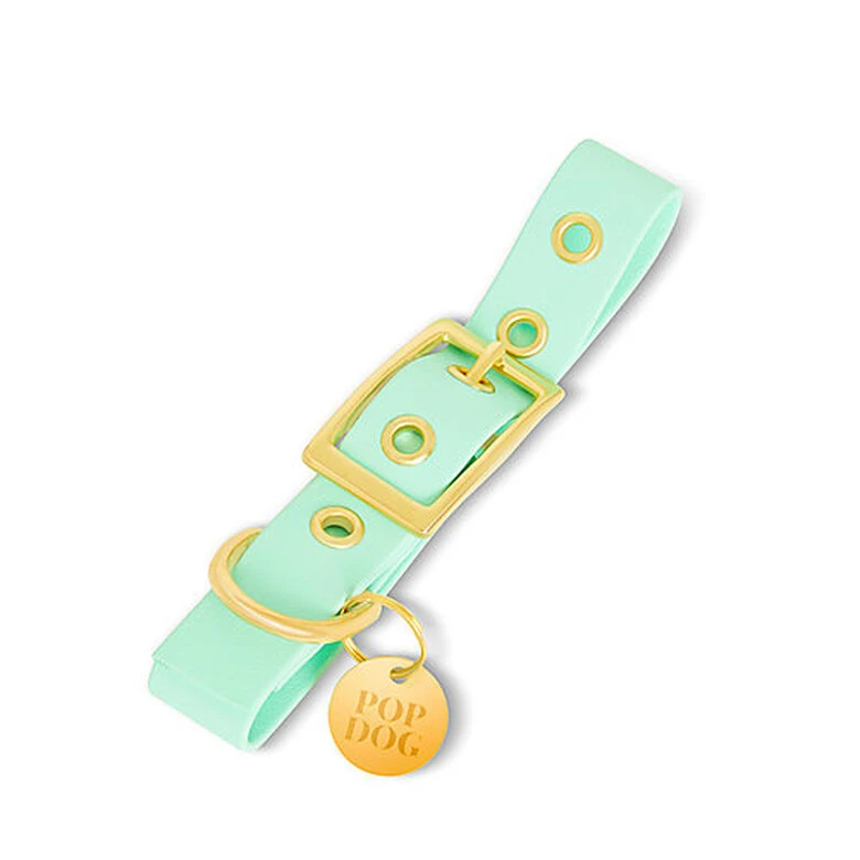 Pop Dog - Collier à Œillet Swimmy Vert Pour Chien - XS 3 Pop Dog - Collier à Œillet Swimmy Vert Pour Chien - XS