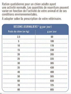 Magasin De Fournitures Pour Chiens De Compagnie -Magasin De Fournitures Pour Chiens De Compagnie 73524