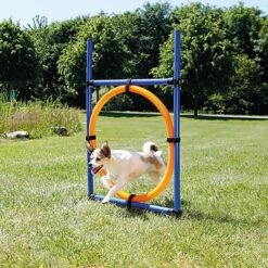 Trixie - Anneau Fun Agility Pour Chien - 115xØ3cm -Magasin De Fournitures Pour Chiens De Compagnie 73664