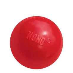 Kong - Jouet Balle Rebondissante Rouge Pour Chien - L