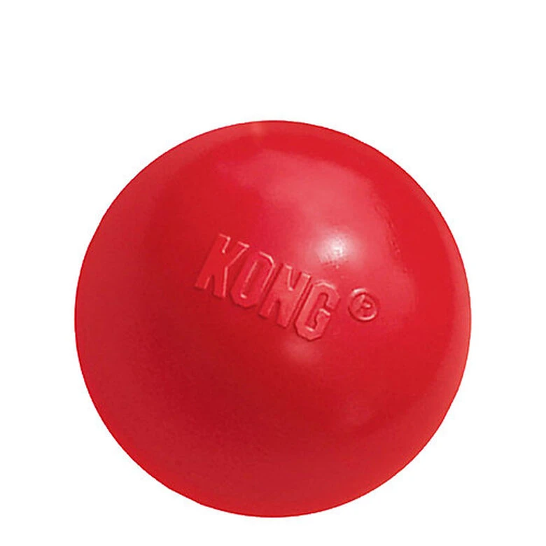 Kong - Jouet Balle Rebondissante Rouge Pour Chien - L 3 Kong - Jouet Balle Rebondissante Rouge Pour Chien - L