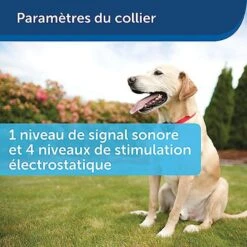 PetSafe - Kit Clôture Wireless Pour Chiens -Magasin De Fournitures Pour Chiens De Compagnie 74227