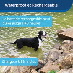 PetSafe - Système D'Aide à L'Education Pour Chiens - 300m -Magasin De Fournitures Pour Chiens De Compagnie 74274