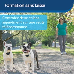 PetSafe - Système D'Aide à L'Education Pour Chiens - 300m -Magasin De Fournitures Pour Chiens De Compagnie 74277