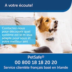 PetSafe - Système D'Aide à L'Education Pour Chiens - 300m -Magasin De Fournitures Pour Chiens De Compagnie 74278