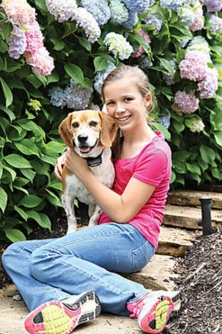 PetSafe - Clôture Anti-Fugue PIG19-16413 Pour Chien -Magasin De Fournitures Pour Chiens De Compagnie 74309