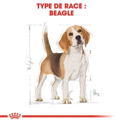 Nouvelles Arrivées -Magasin De Fournitures Pour Chiens De Compagnie 74322