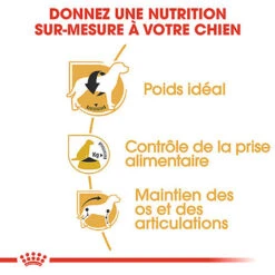 Royal Canin - Croquettes Beagle Adult Pour Chien - 12Kg 11 Royal Canin - Croquettes Beagle Adult Pour Chien - 12Kg -Magasin De Fournitures Pour Chiens De Compagnie 74325