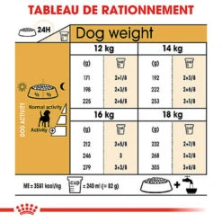 Royal Canin - Croquettes Beagle Adult Pour Chien - 12Kg 12 Royal Canin - Croquettes Beagle Adult Pour Chien - 12Kg -Magasin De Fournitures Pour Chiens De Compagnie 74326