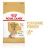Royal Canin - Croquettes Yorkshire Terrier Adult 8+ Pour Chiens Seniors - 1,5Kg