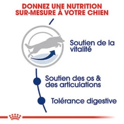 Royal Canin - Croquettes Maxi Adult 5+ Pour Grand Chien - 4Kg 9 Royal Canin - Croquettes Maxi Adult 5+ Pour Grand Chien - 4Kg -Magasin De Fournitures Pour Chiens De Compagnie 74341