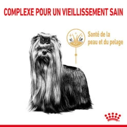 Royal Canin - Croquettes Yorkshire Terrier Adult 8+ Pour Chiens Seniors - 1,5Kg 9 Royal Canin - Croquettes Yorkshire Terrier Adult 8+ Pour Chiens Seniors - 1,5Kg -Magasin De Fournitures Pour Chiens De Compagnie 74342