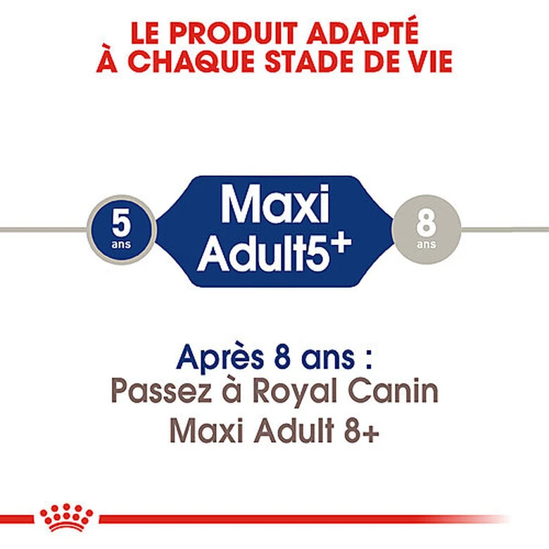 Royal Canin - Croquettes Maxi Adult 5+ Pour Grand Chien - 4Kg 4 Royal Canin - Croquettes Maxi Adult 5+ Pour Grand Chien - 4Kg – Image 2
