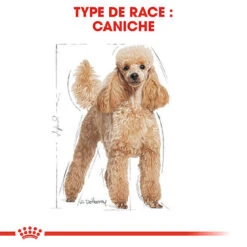 Nouvelles Arrivées -Magasin De Fournitures Pour Chiens De Compagnie 74391