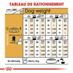 Royal Canin - Croquettes Poodle Adult Caniche Pour Chien - 1,5Kg -Magasin De Fournitures Pour Chiens De Compagnie 74394