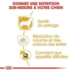 Royal Canin - Croquettes Maltese Adult Bichon Maltais Pour Chiens - 1,5Kg 11 Royal Canin - Croquettes Maltese Adult Bichon Maltais Pour Chiens - 1,5Kg -Magasin De Fournitures Pour Chiens De Compagnie 74409