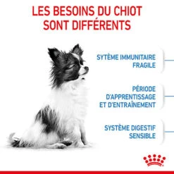 Royal Canin - Croquettes Puppy X-Small Pour Chiots - 3Kg -Magasin De Fournitures Pour Chiens De Compagnie 74425