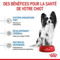 Royal Canin - Croquettes Puppy X-Small Pour Chiots - 3Kg -Magasin De Fournitures Pour Chiens De Compagnie 74427