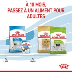 Royal Canin - Croquettes Puppy X-Small Pour Chiots - 3Kg -Magasin De Fournitures Pour Chiens De Compagnie 74429