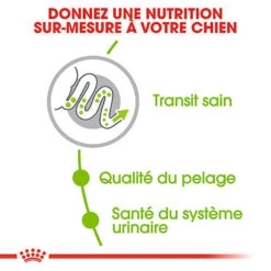 Royal Canin - Croquettes X-Small Adult Pour Petits Chiens - 1,5Kg 10 Royal Canin - Croquettes X-Small Adult Pour Petits Chiens - 1,5Kg -Magasin De Fournitures Pour Chiens De Compagnie 74432