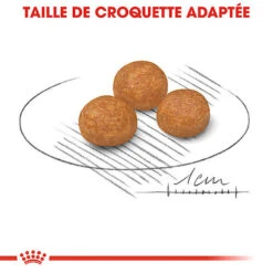 Royal Canin - Croquettes X-Small Adult Pour Petits Chiens - 1,5Kg 11 Royal Canin - Croquettes X-Small Adult Pour Petits Chiens - 1,5Kg -Magasin De Fournitures Pour Chiens De Compagnie 74433