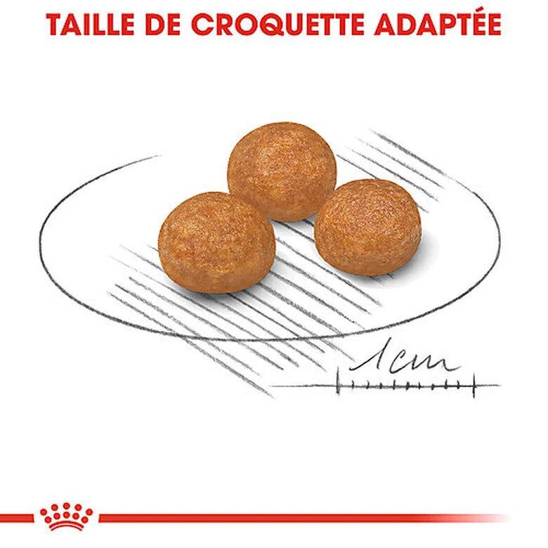 Royal Canin - Croquettes X-Small Adult Pour Petits Chiens - 1,5Kg 6 Royal Canin - Croquettes X-Small Adult Pour Petits Chiens - 1,5Kg – Image 4