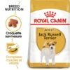 Royal Canin - Croquettes Jack Russell Adult Pour Chiens - 1,5Kg -Magasin De Fournitures Pour Chiens De Compagnie 74440
