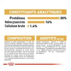 Royal Canin - Croquettes Jack Russell Adult Pour Chiens - 1,5Kg -Magasin De Fournitures Pour Chiens De Compagnie 74446