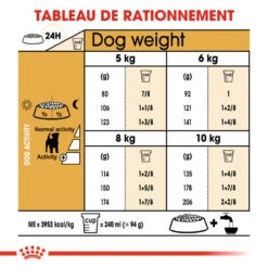 Royal Canin - Croquettes Jack Russell Adult Pour Chiens - 1,5Kg -Magasin De Fournitures Pour Chiens De Compagnie 74447