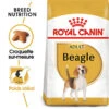 Royal Canin - Croquettes Beagle Adult Pour Chien - 12Kg -Magasin De Fournitures Pour Chiens De Compagnie 74473