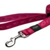 Rogz - Laisse Simple Alpinist Rose Pour Chiens - XL -Magasin De Fournitures Pour Chiens De Compagnie 74570