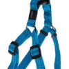 Rogz - Harnais Utility Turquoise Pour Chien - 24x1,1cm 2 Rogz - Harnais Utility Turquoise Pour Chien - 24x1,1cm -Magasin De Fournitures Pour Chiens De Compagnie 74579