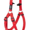 Rogz - Harnais Utility Rouge Pour Chiens - 32x1,6cm 2 Rogz - Harnais Utility Rouge Pour Chiens - 32x1,6cm -Magasin De Fournitures Pour Chiens De Compagnie 74587