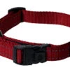 Rogz - Collier Utility Rouge Pour Chiens - 34/56x2cm 2 Rogz - Collier Utility Rouge Pour Chiens - 34/56x2cm -Magasin De Fournitures Pour Chiens De Compagnie 74591