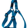 Rogz - Harnais Utility Turquoise Pour Chien - 37x2cm -Magasin De Fournitures Pour Chiens De Compagnie 74600