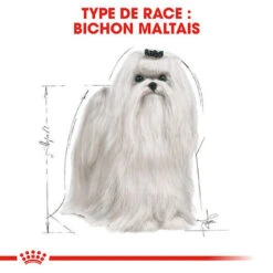 Royal Canin - Croquettes Maltese Adult Bichon Maltais Pour Chiens - 1,5Kg 13 Royal Canin - Croquettes Maltese Adult Bichon Maltais Pour Chiens - 1,5Kg -Magasin De Fournitures Pour Chiens De Compagnie 74609