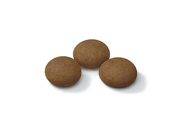 Royal Canin - Croquettes Sporting Life Energy 4300 Pour Chiens - 15Kg 4 Royal Canin - Croquettes Sporting Life Energy 4300 Pour Chiens - 15Kg – Image 2