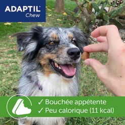 Adaptil - Bouchées Moelleuses D'Appaisement Adaptil Chew Pour Chiens - X30 -Magasin De Fournitures Pour Chiens De Compagnie 75217