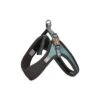 Rogz - Harnais Urban Fast-Fit Turquoise Pour Chiens - S/M 2 Rogz - Harnais Urban Fast-Fit Turquoise Pour Chiens - S/M -Magasin De Fournitures Pour Chiens De Compagnie 75777
